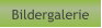 Bildergalerie