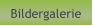 Bildergalerie